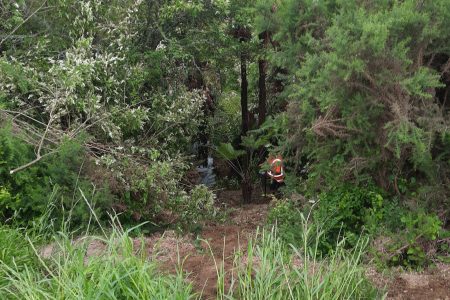 Clearing Step Bank in Gully